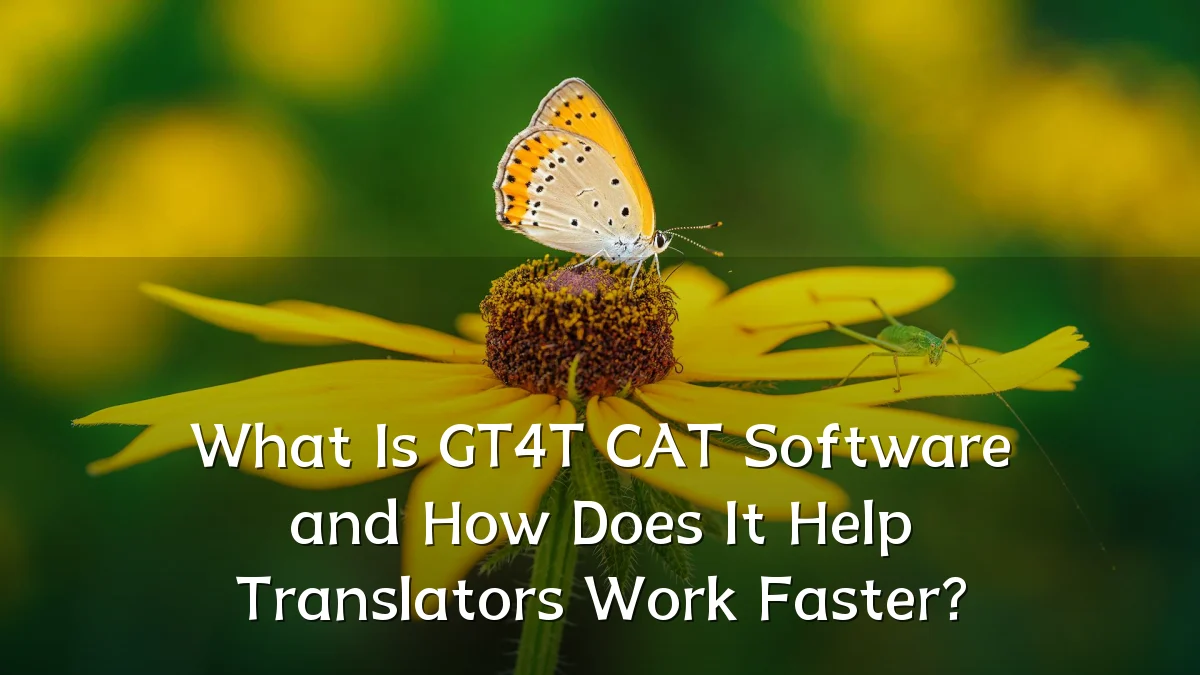 What Is GT4T CAT Software and How Does It Help Translators Work Faster?