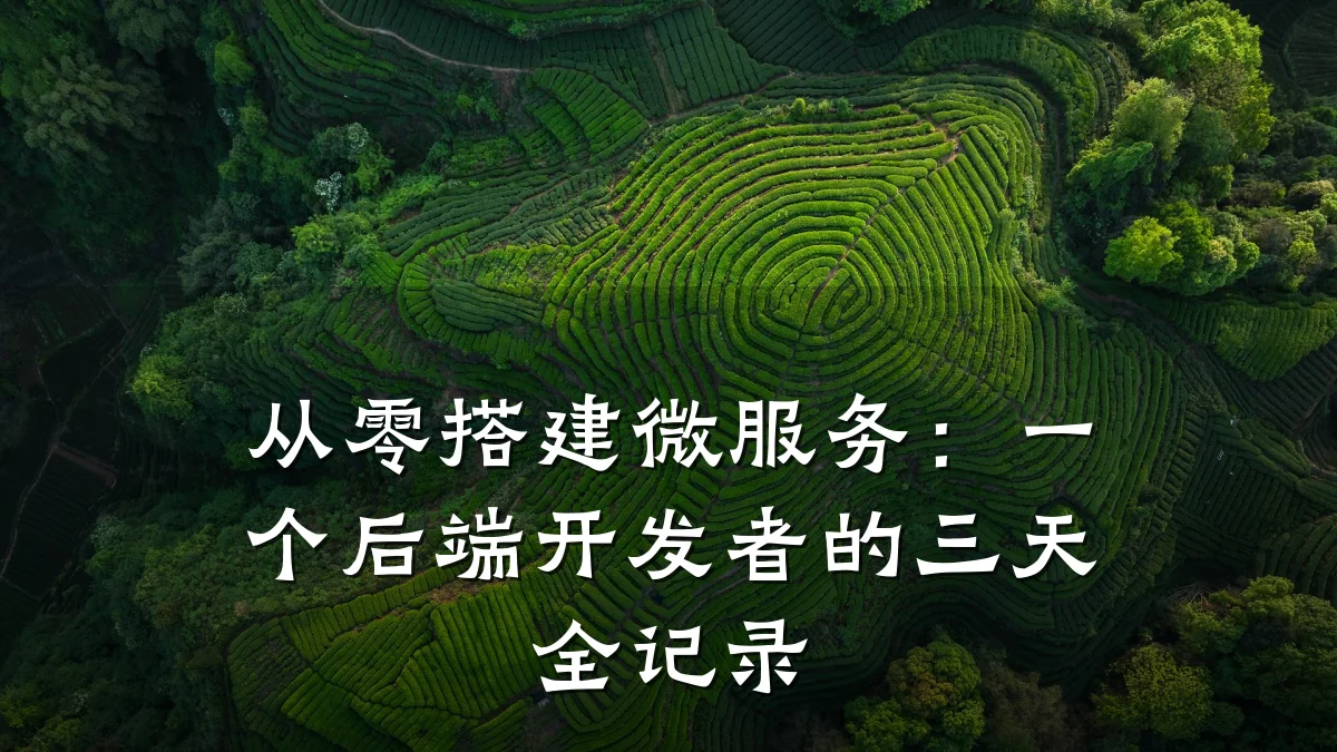 从零搭建微服务:一个后端开发者的三天全记录