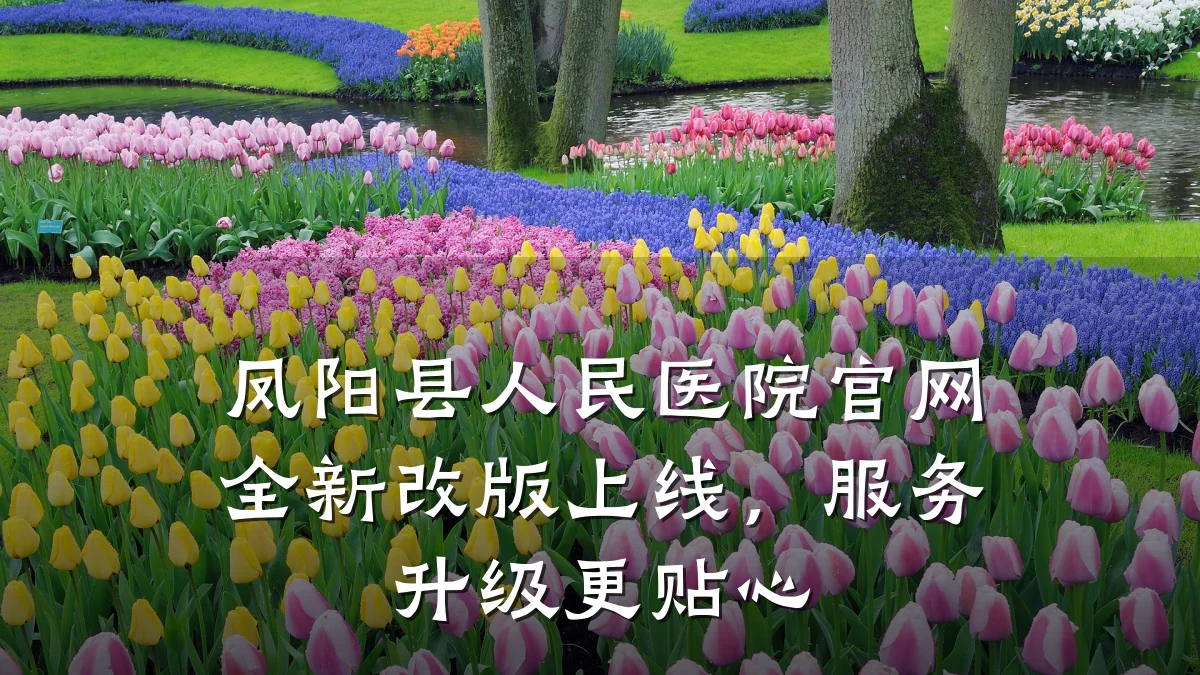 凤阳县人民医院官网全新改版上线，服务升级更贴心