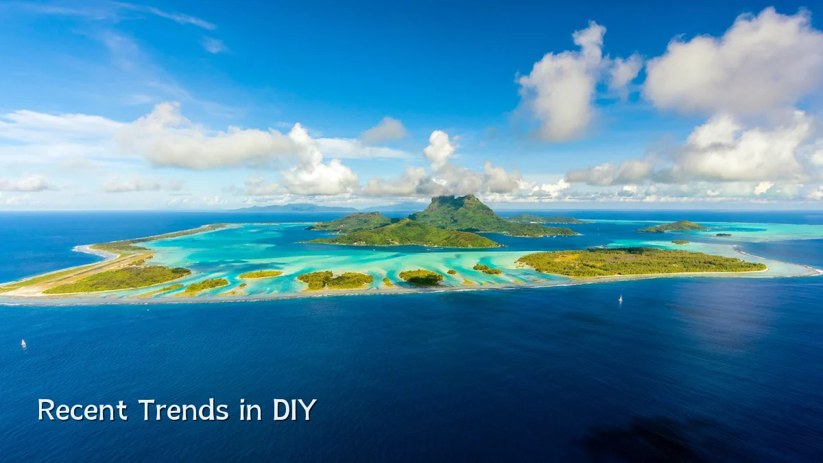 Recent Trends in DIY