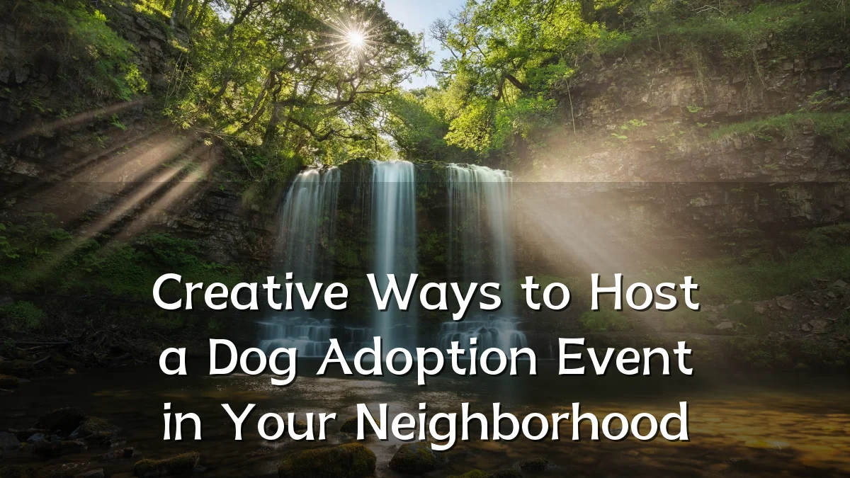 Creative Ways to Host a Dog Adoption Event in Your Neighborhood