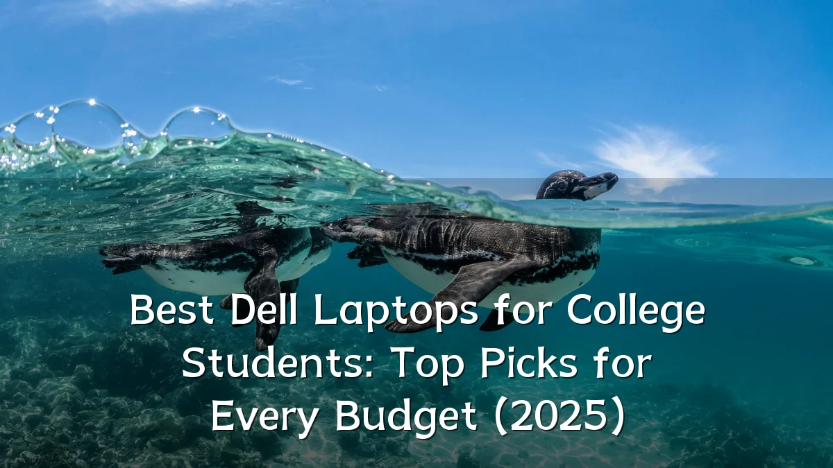 Best Dell Laptops for College Students: Top Picks for Every Budget (2025)