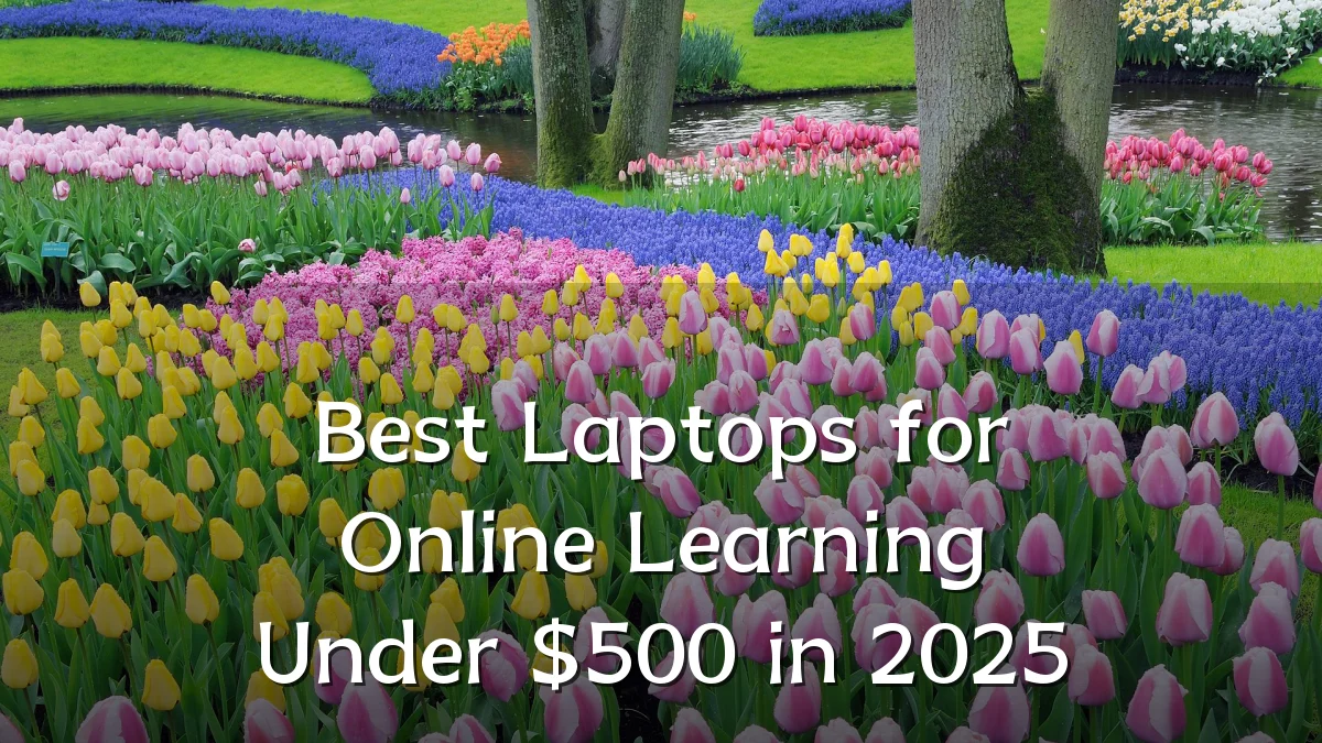 Best Laptops for Online Learning Under $500 in 2025