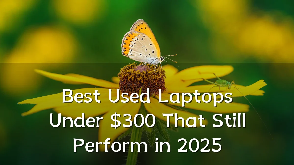 Best Used Laptops Under $300 That Still Perform in 2025