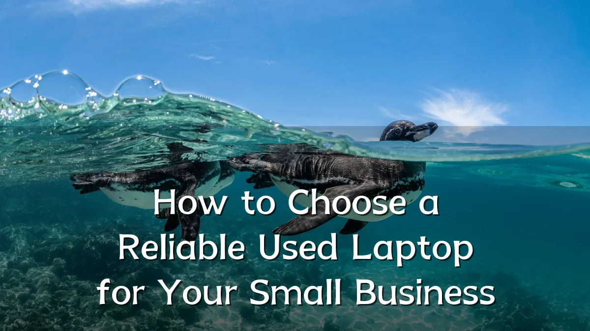 How to Choose a Reliable Used Laptop for Your Small Business
