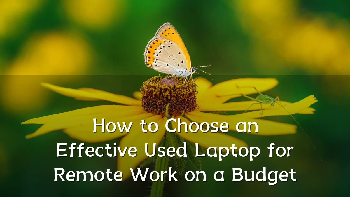 How to Choose an Effective Used Laptop for Remote Work on a Budget