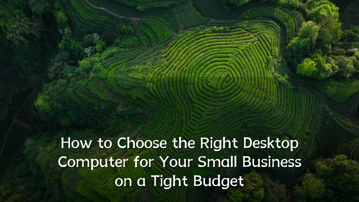 How to Choose the Right Desktop Computer for Your Small Business on a Tight Budget