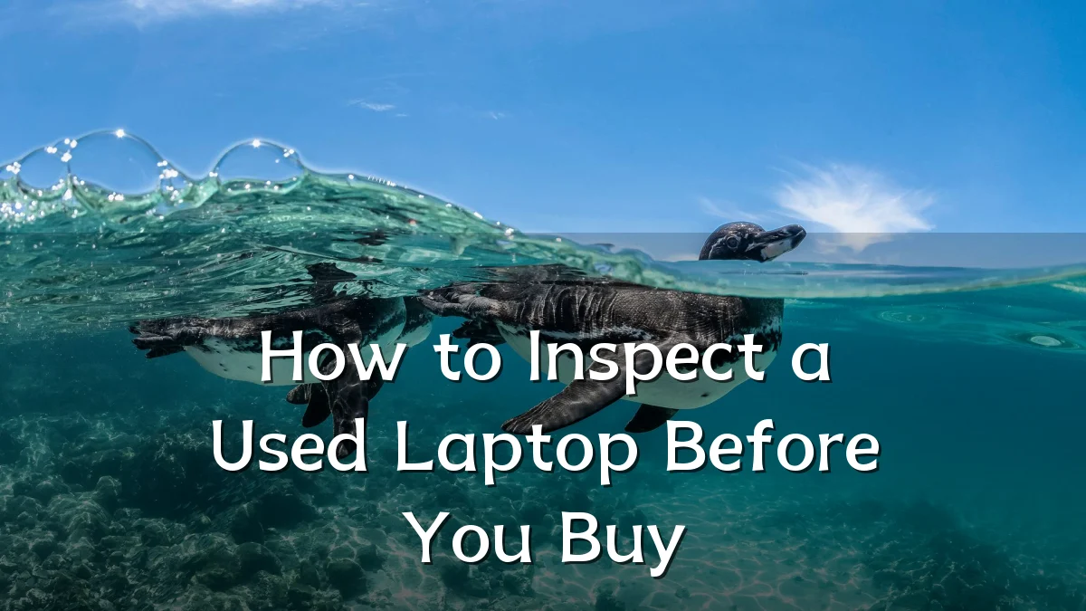 How to Inspect a Used Laptop Before You Buy