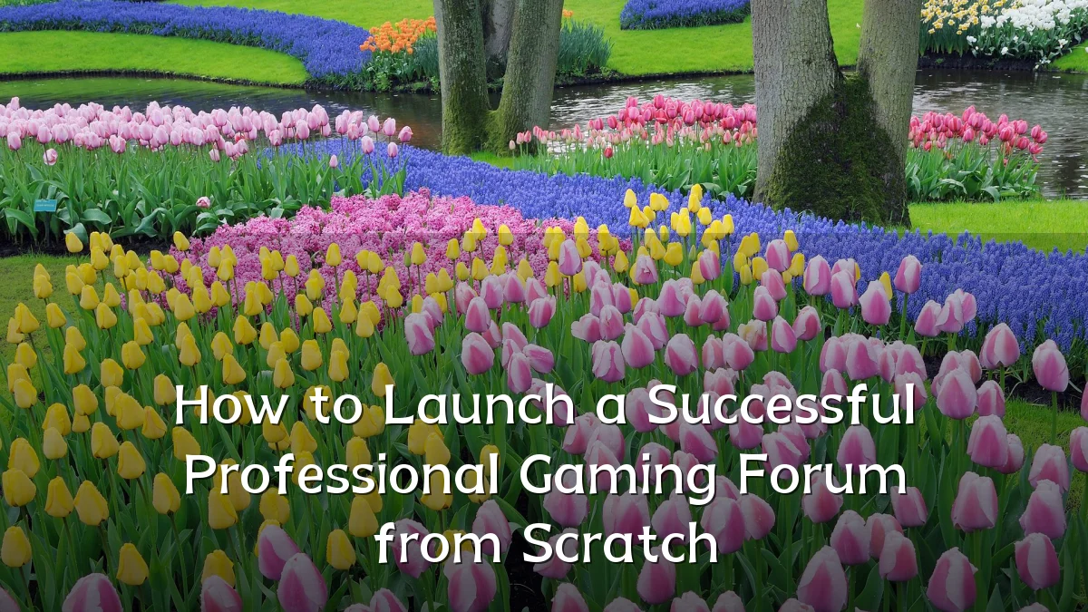 How to Launch a Successful Professional Gaming Forum from Scratch