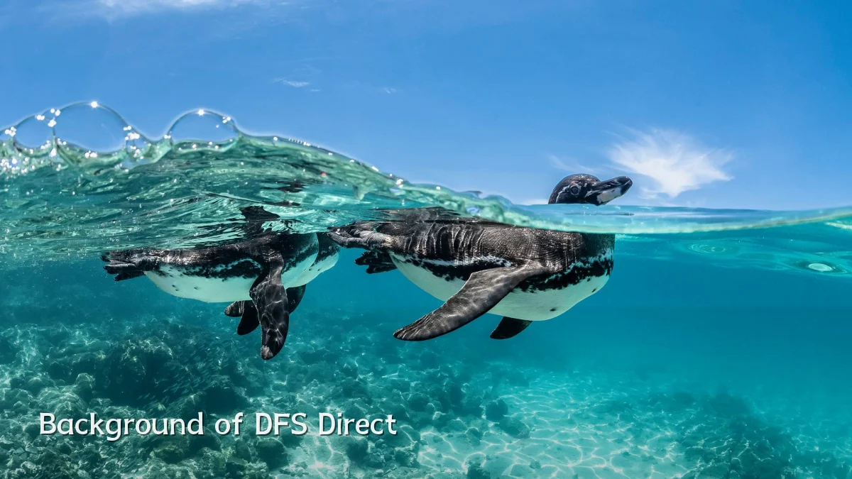 Background of DFS Direct
