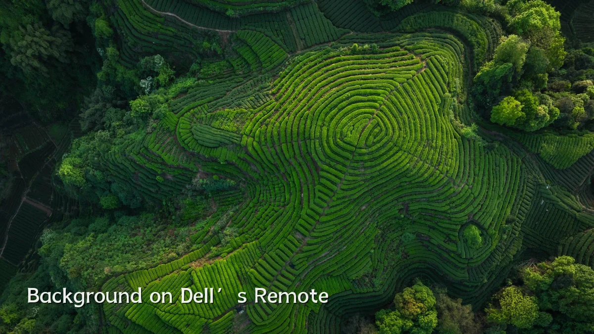 Background on Dell’s Remote