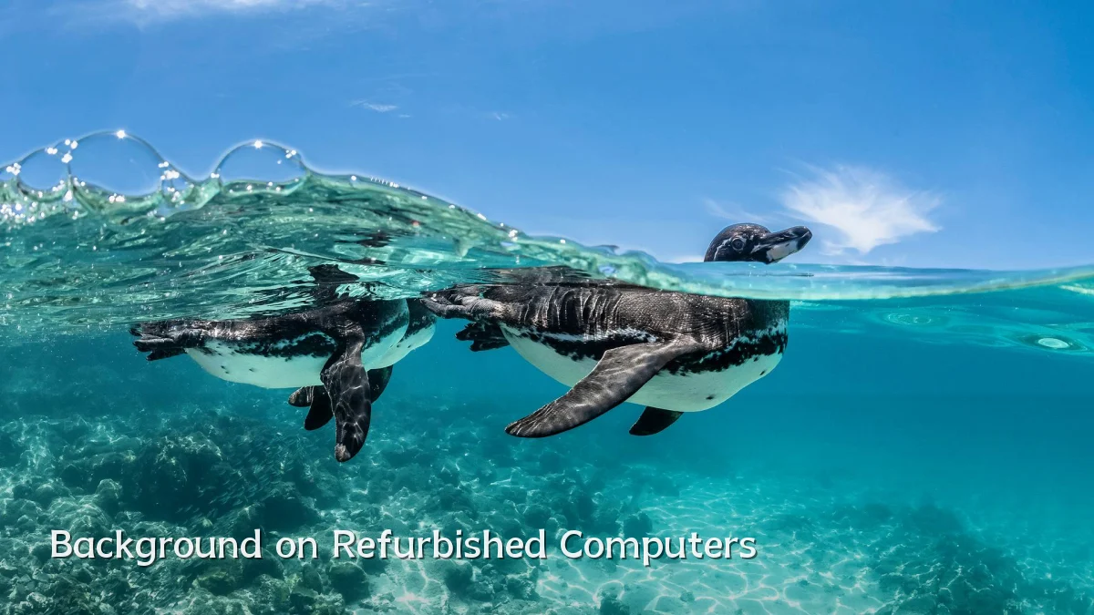 Background on Refurbished Computers