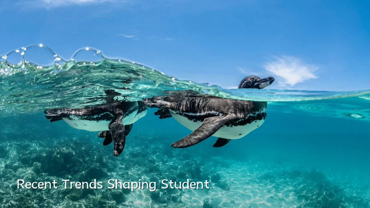 Recent Trends Shaping Student