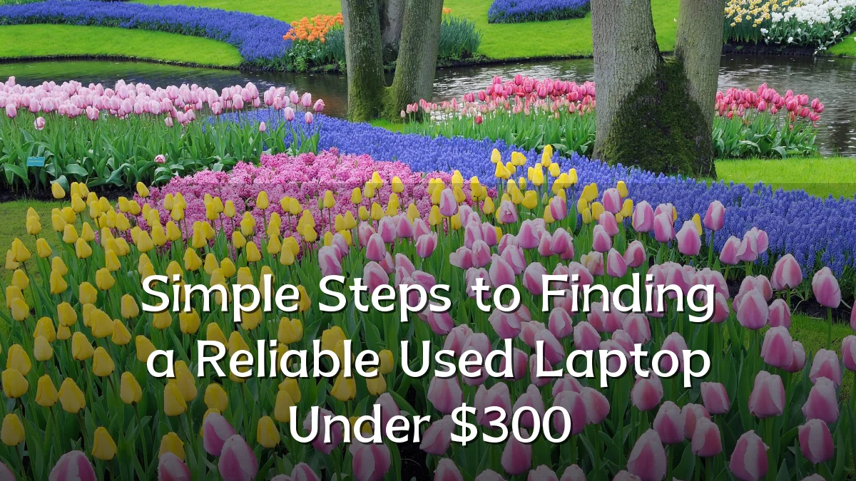 Simple Steps to Finding a Reliable Used Laptop Under $300