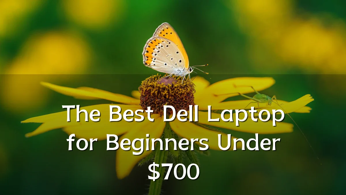 The Best Dell Laptop for Beginners Under $700