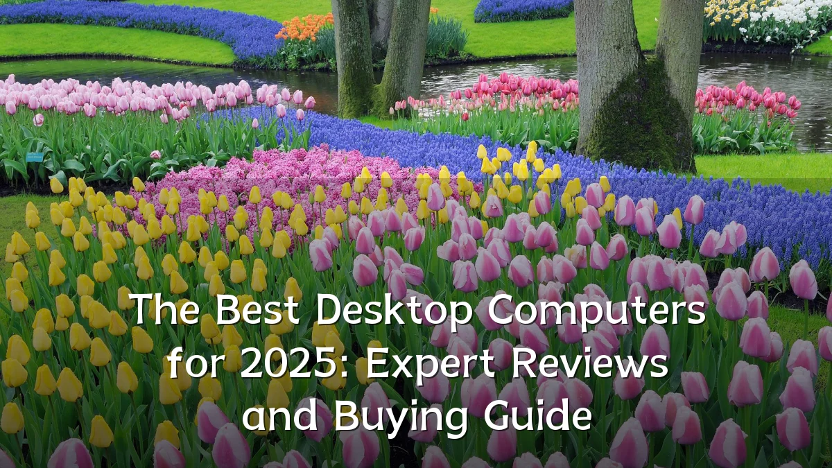 The Best Desktop Computers for 2025: Expert Reviews and Buying Guide