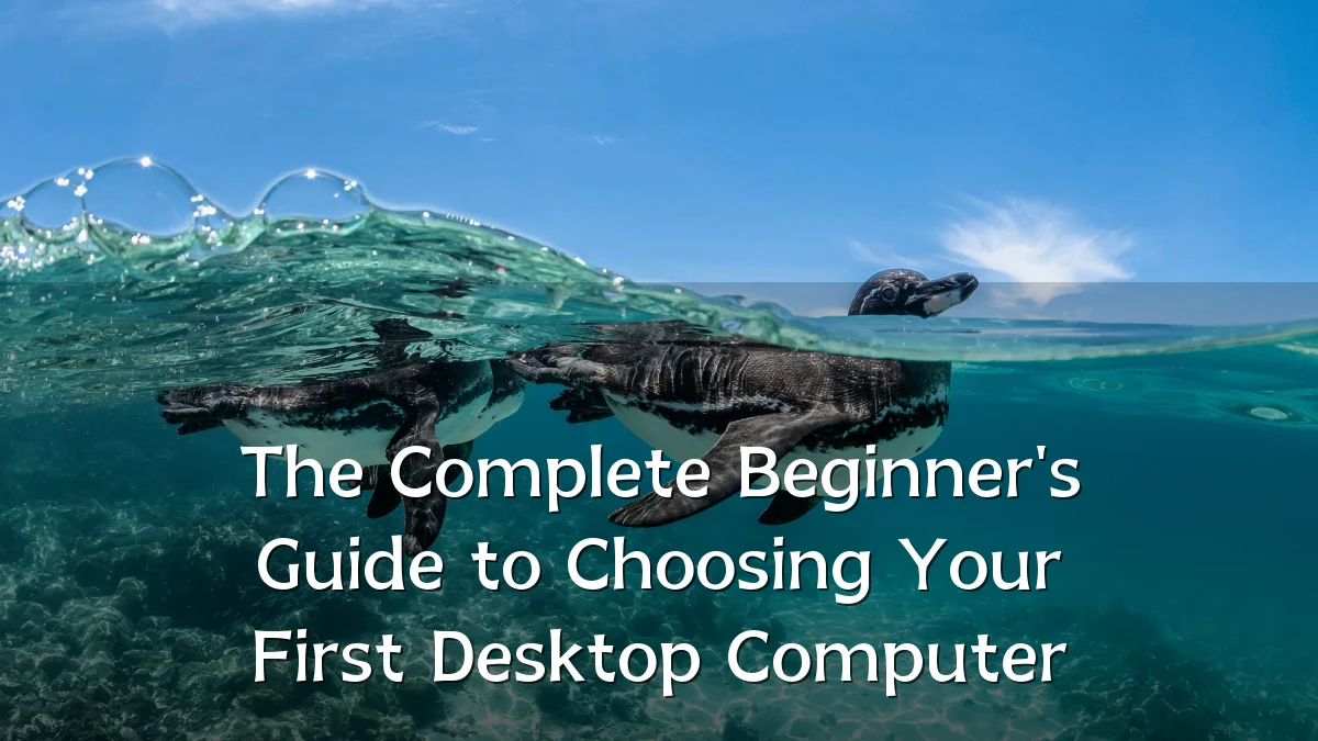 The Complete Beginner's Guide to Choosing Your First Desktop Computer