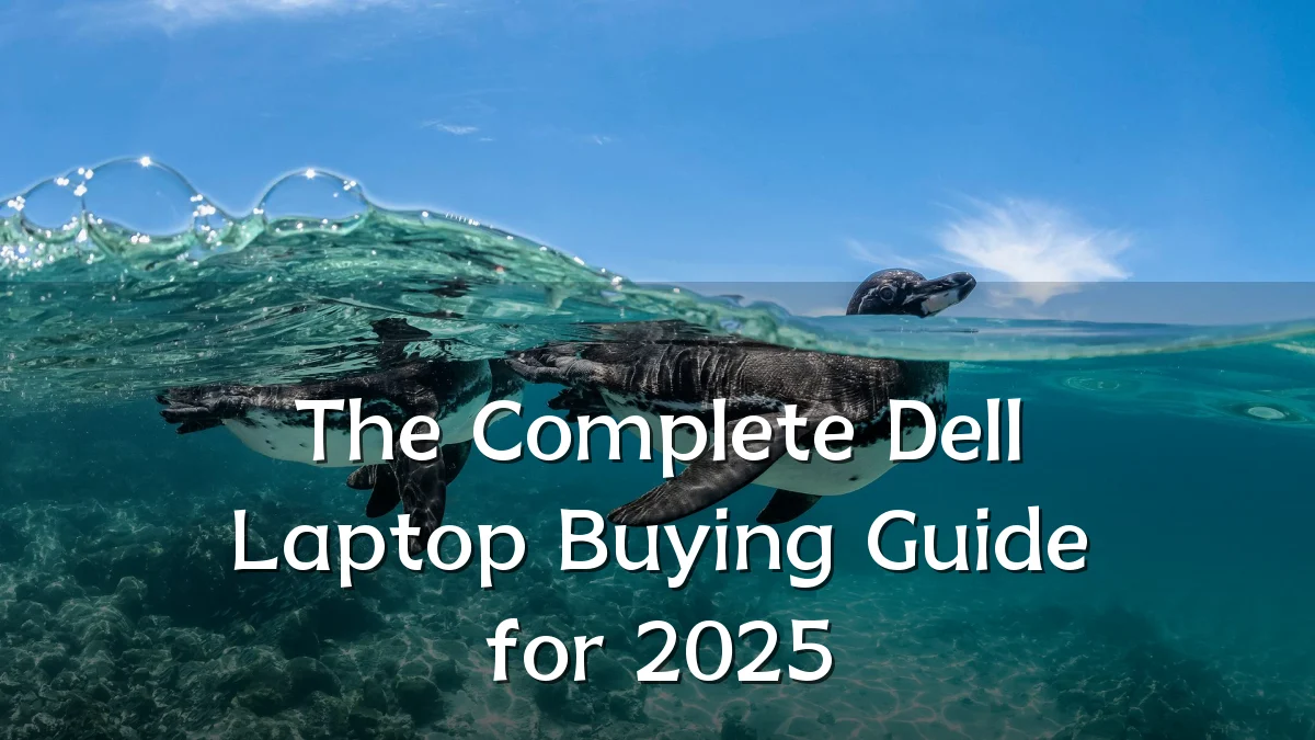 The Complete Dell Laptop Buying Guide for 2025