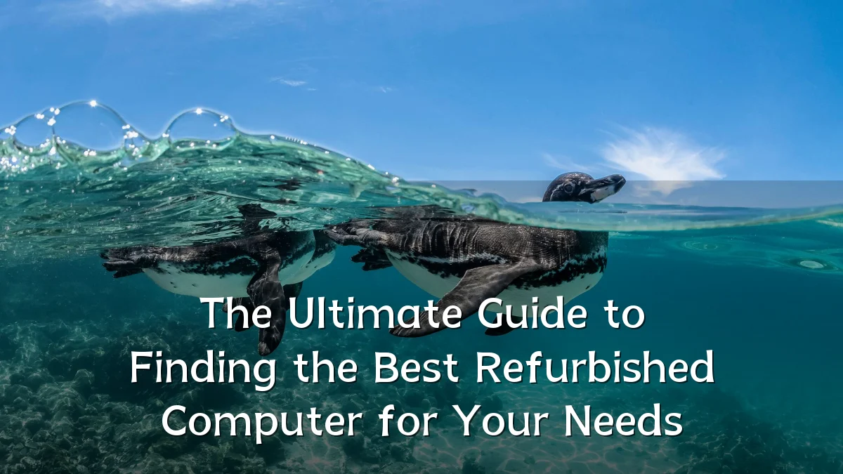 The Ultimate Guide to Finding the Best Refurbished Computer for Your Needs