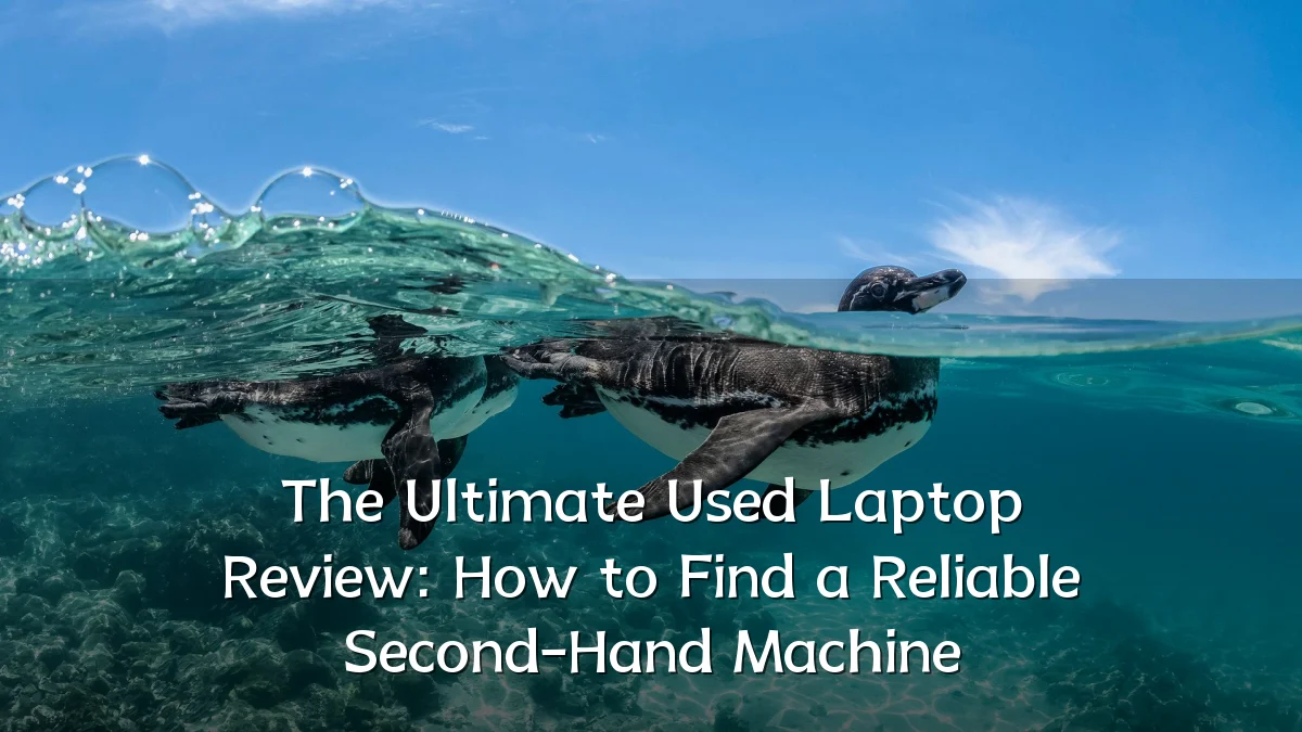 The Ultimate Used Laptop Review: How to Find a Reliable Second-Hand Machine