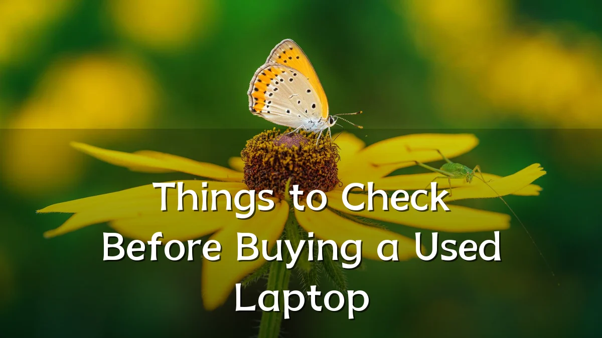 Things to Check Before Buying a Used Laptop