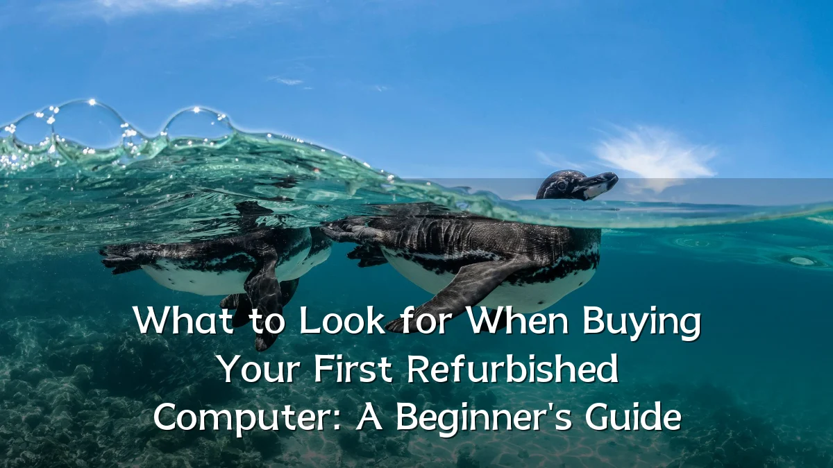 What to Look for When Buying Your First Refurbished Computer: A Beginner's Guide
