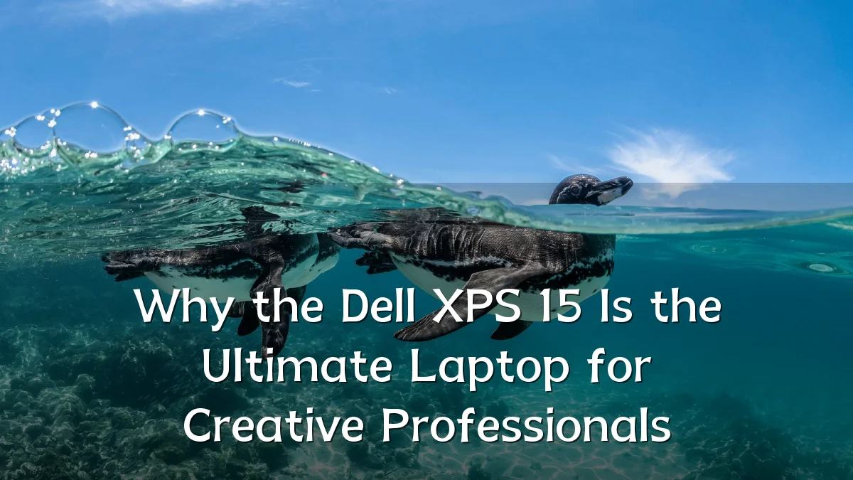 Why the Dell XPS 15 Is the Ultimate Laptop for Creative Professionals