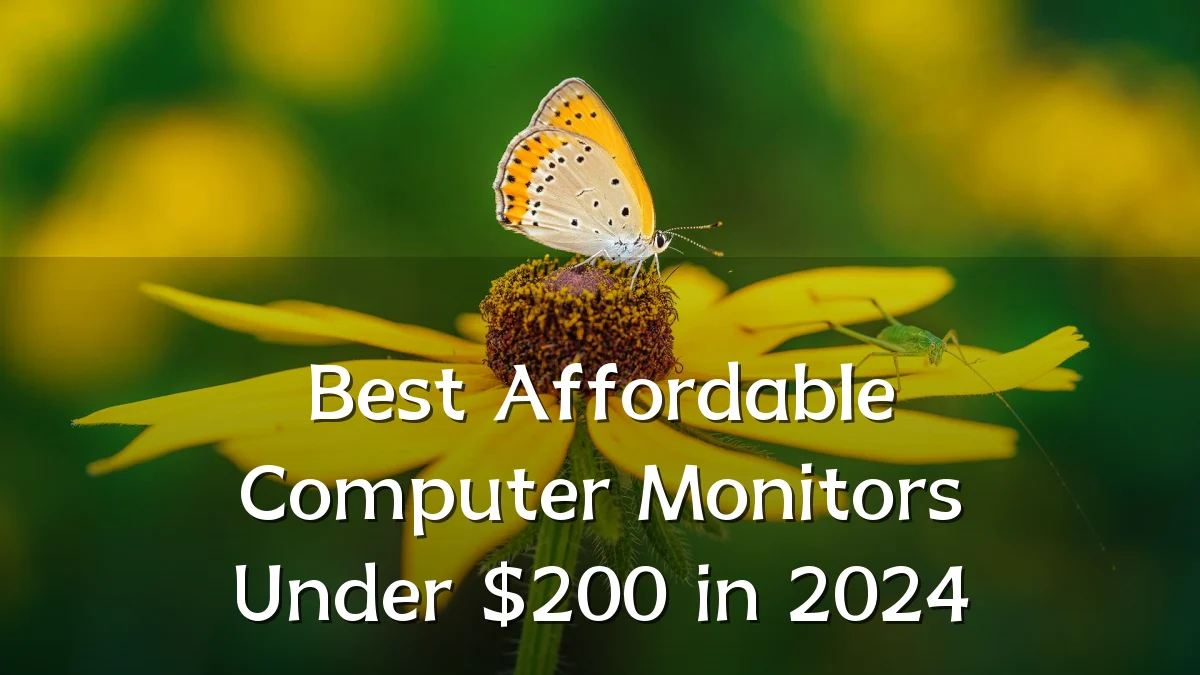 Best Affordable Computer Monitors Under $200 in 2024