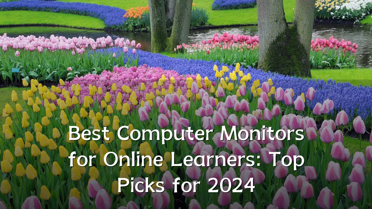 Best Computer Monitors for Online Learners: Top Picks for 2024