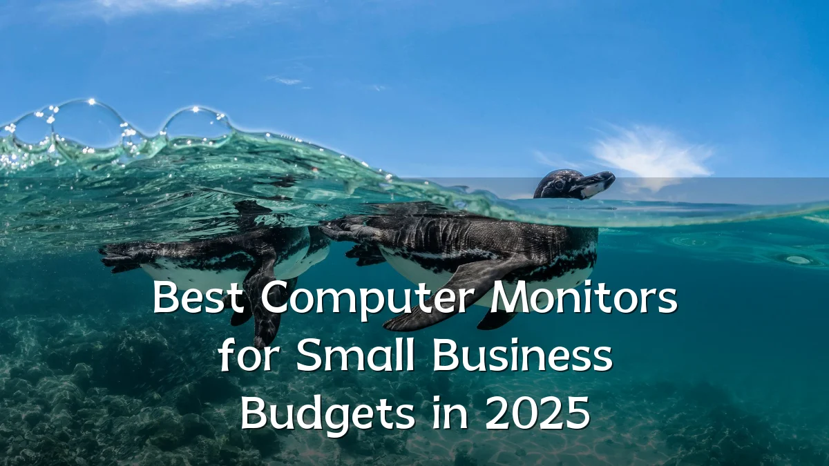 Best Computer Monitors for Small Business Budgets in 2025