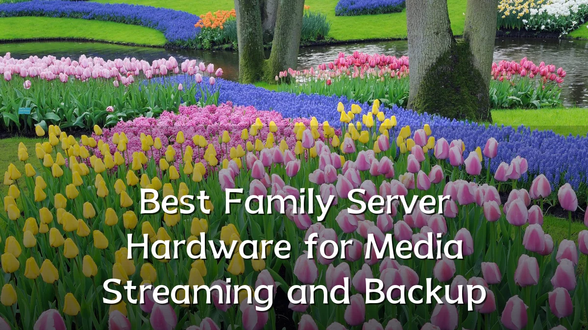 Best Family Server Hardware for Media Streaming and Backup