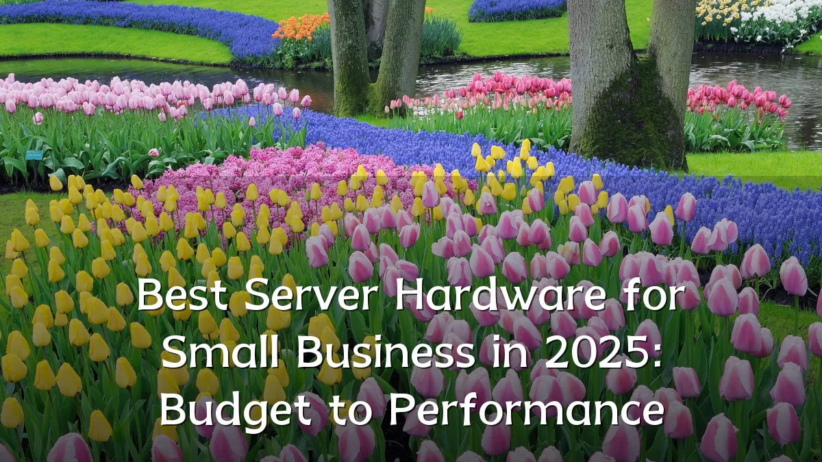 Best Server Hardware for Small Business in 2025: Budget to Performance