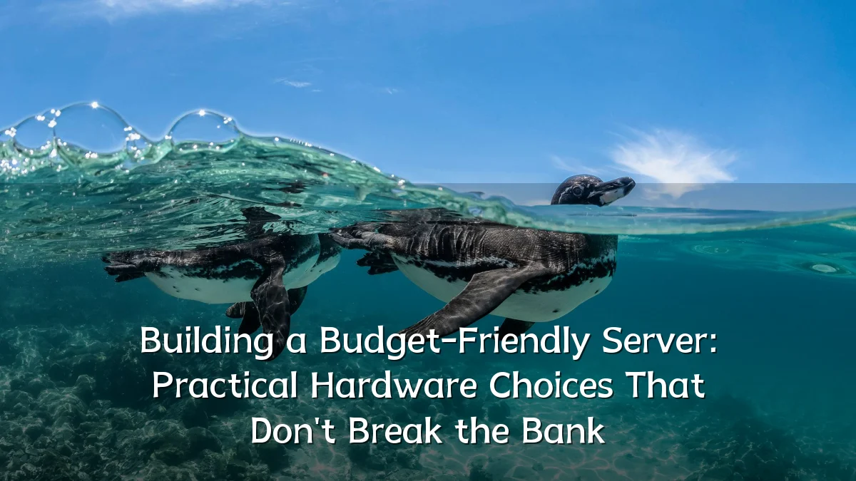 Building a Budget-Friendly Server: Practical Hardware Choices That Don't Break the Bank