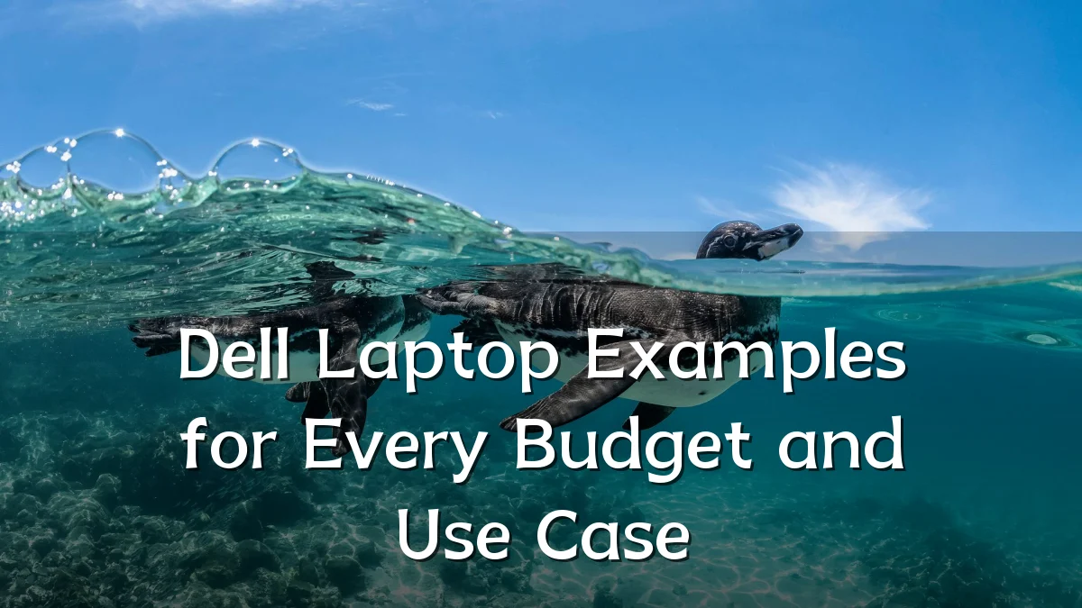 Dell Laptop Examples for Every Budget and Use Case