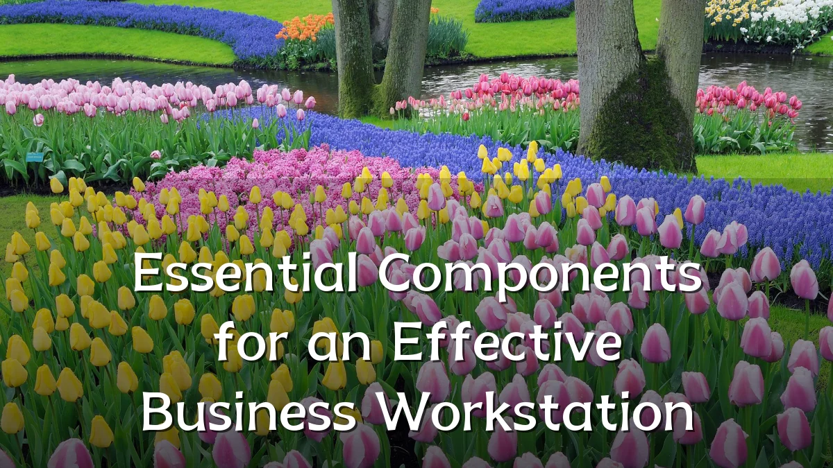 Essential Components for an Effective Business Workstation