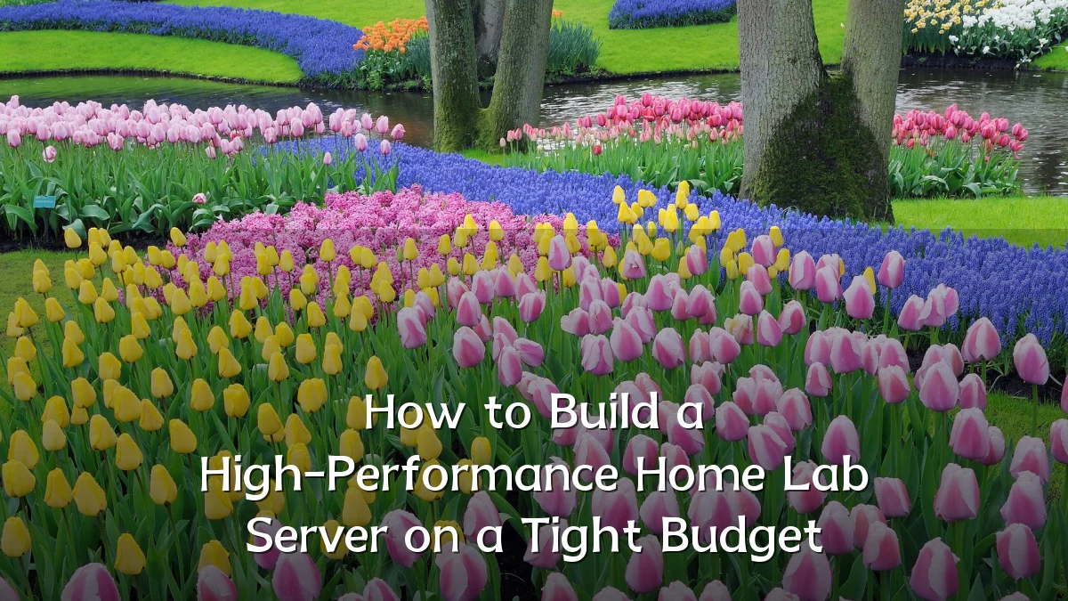 How to Build a High-Performance Home Lab Server on a Tight Budget