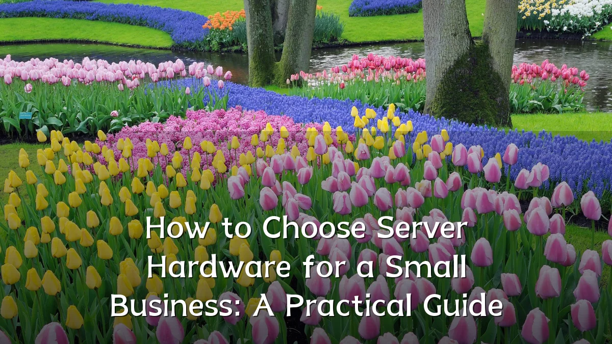 How to Choose Server Hardware for a Small Business: A Practical Guide