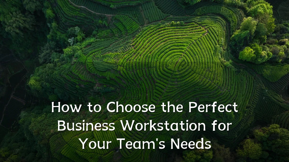 How to Choose the Perfect Business Workstation for Your Team's Needs