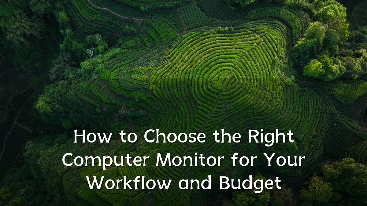 How to Choose the Right Computer Monitor for Your Workflow and Budget