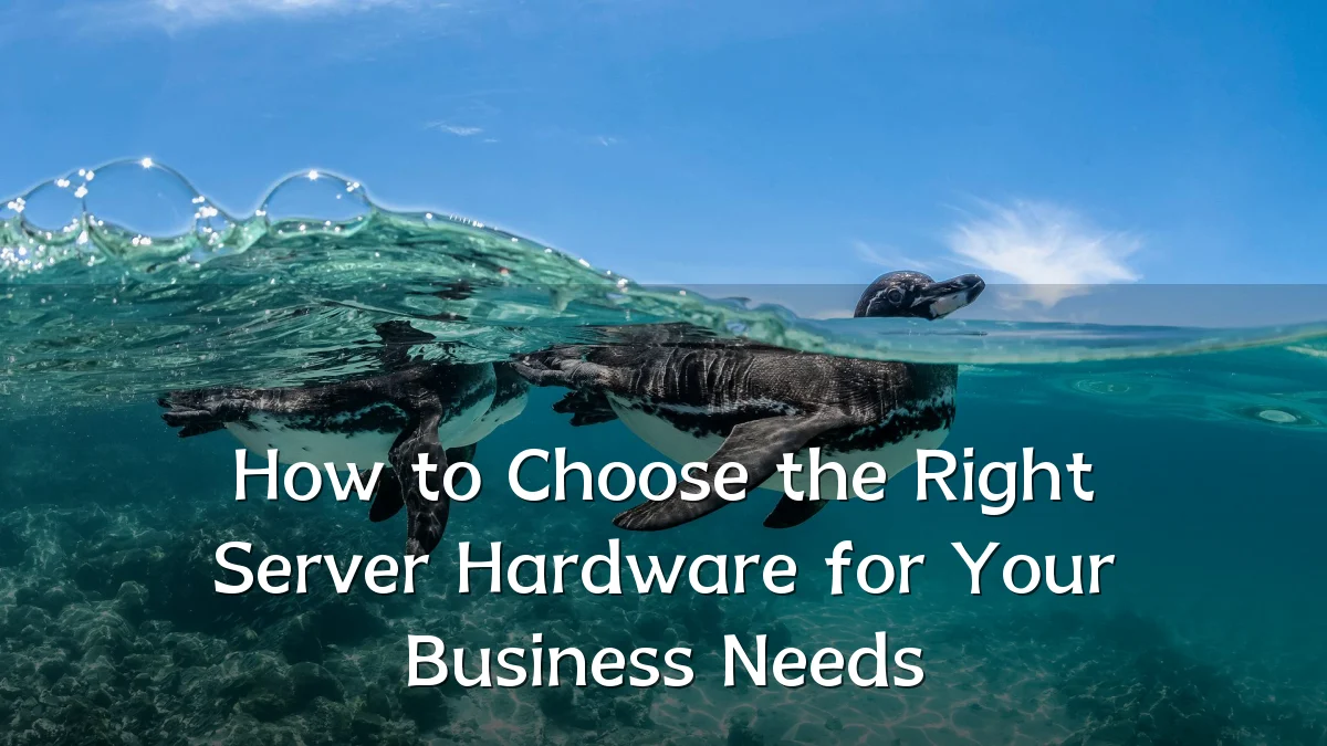 How to Choose the Right Server Hardware for Your Business Needs