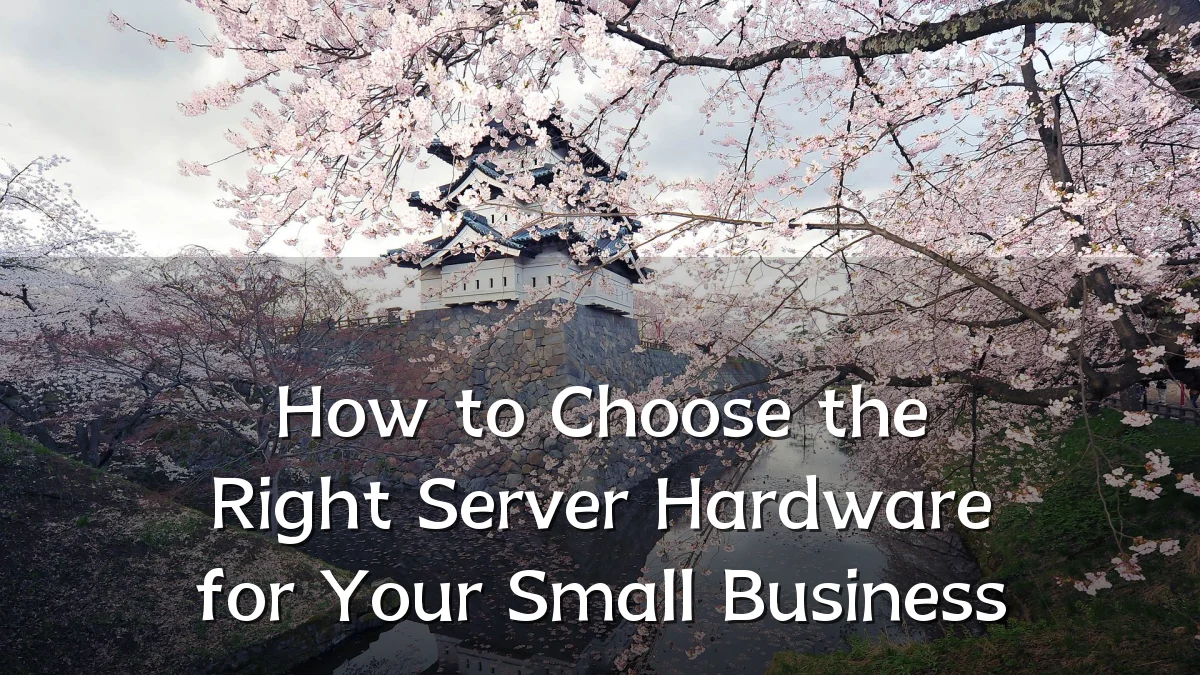 How to Choose the Right Server Hardware for Your Small Business