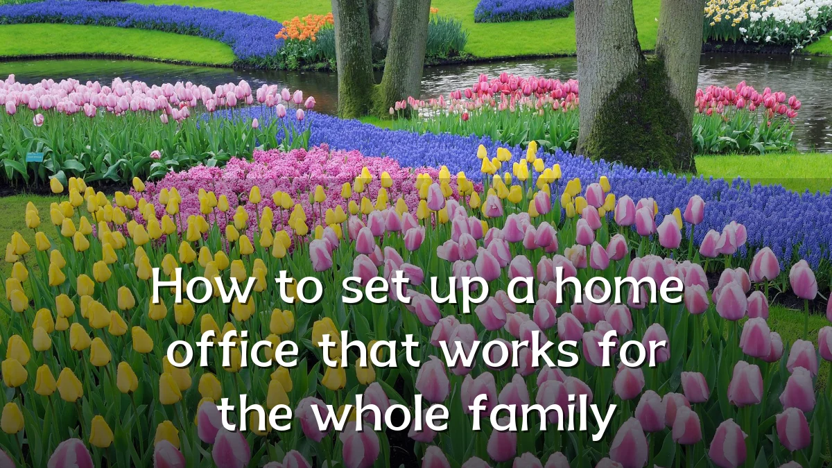 How to set up a home office that works for the whole family
