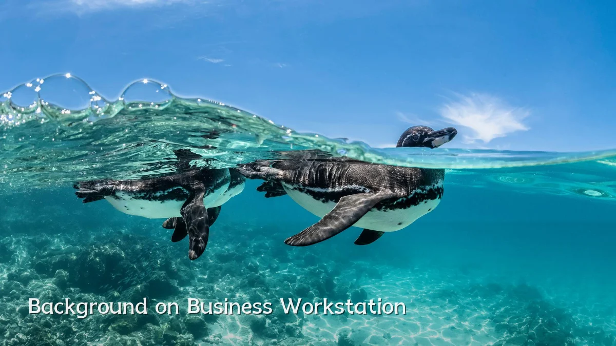 Background on Business Workstation