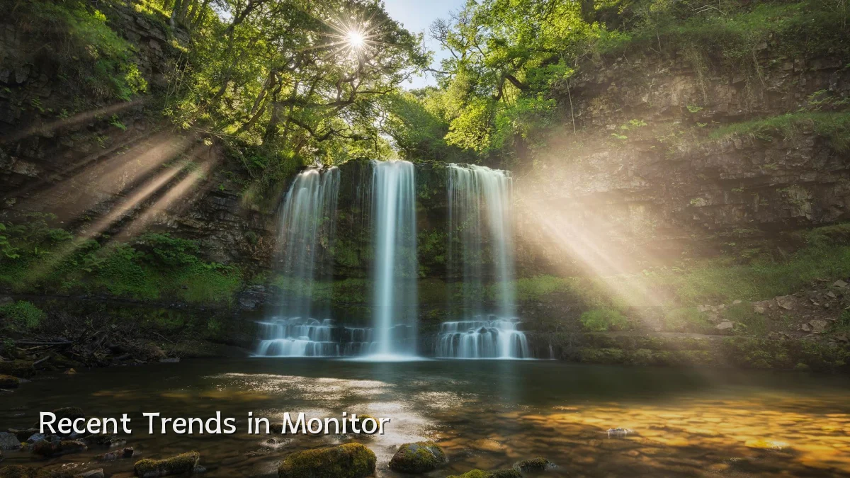 Recent Trends in Monitor