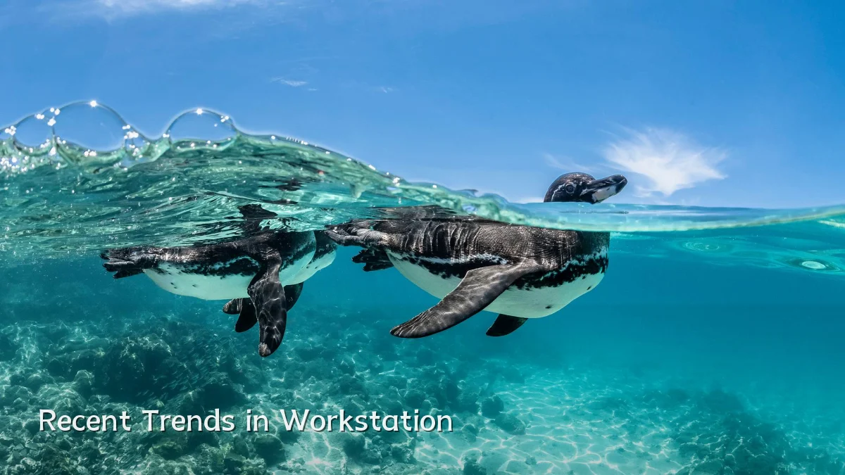 Recent Trends in Workstation