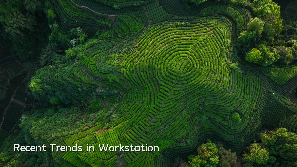 Recent Trends in Workstation