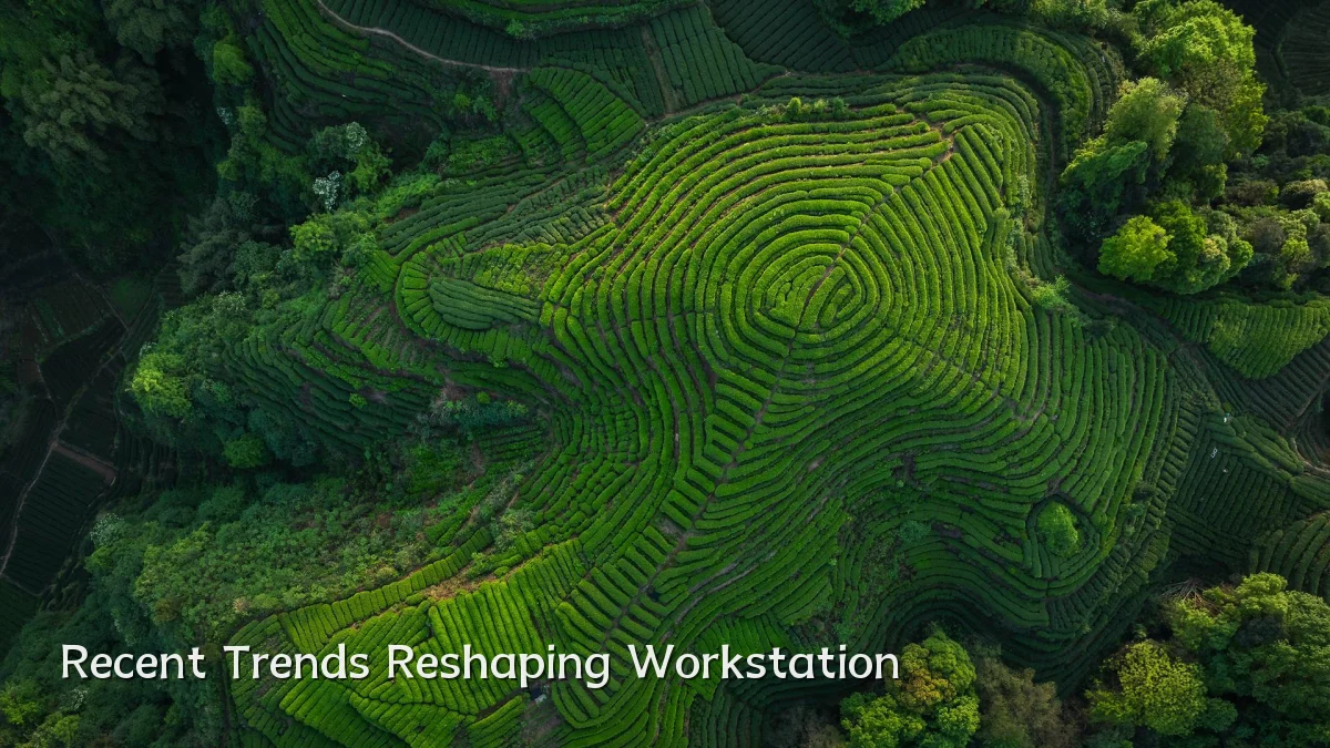 Recent Trends Reshaping Workstation