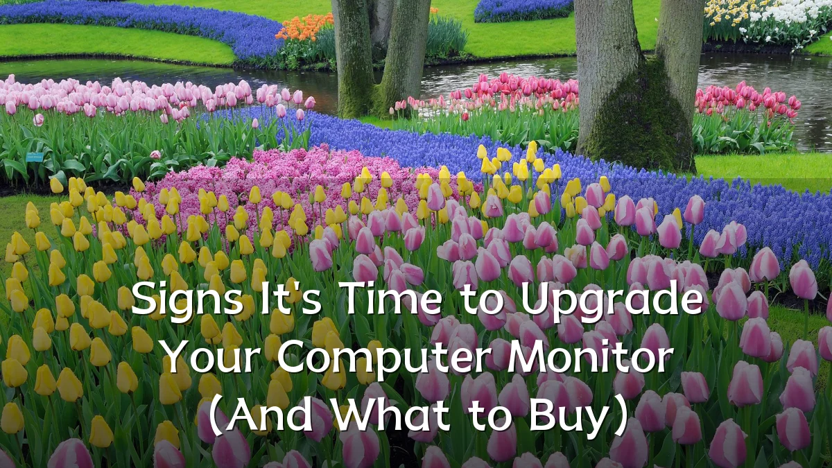 Signs It's Time to Upgrade Your Computer Monitor (And What to Buy)