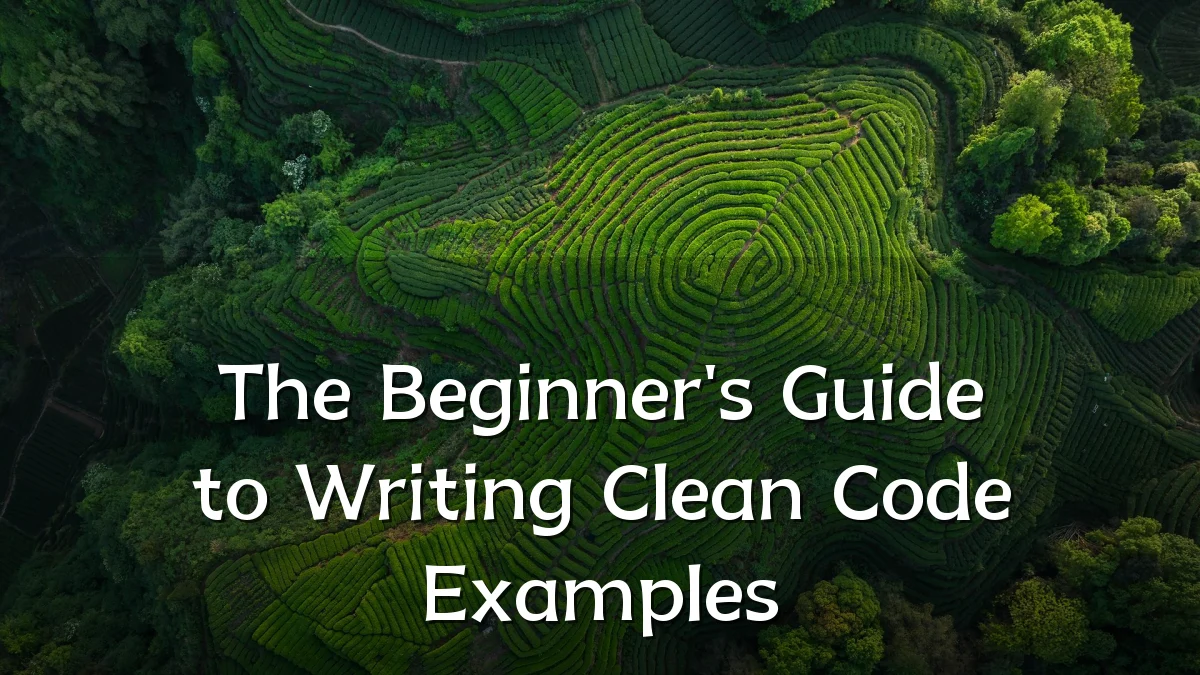 The Beginner's Guide to Writing Clean Code Examples