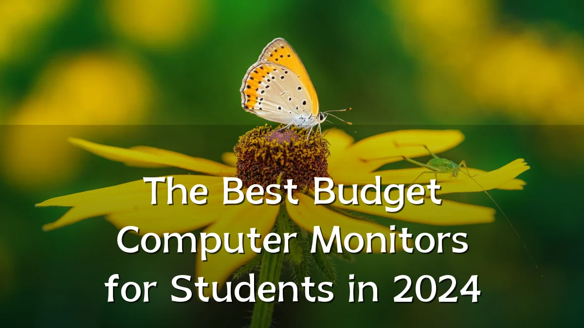 The Best Budget Computer Monitors for Students in 2024